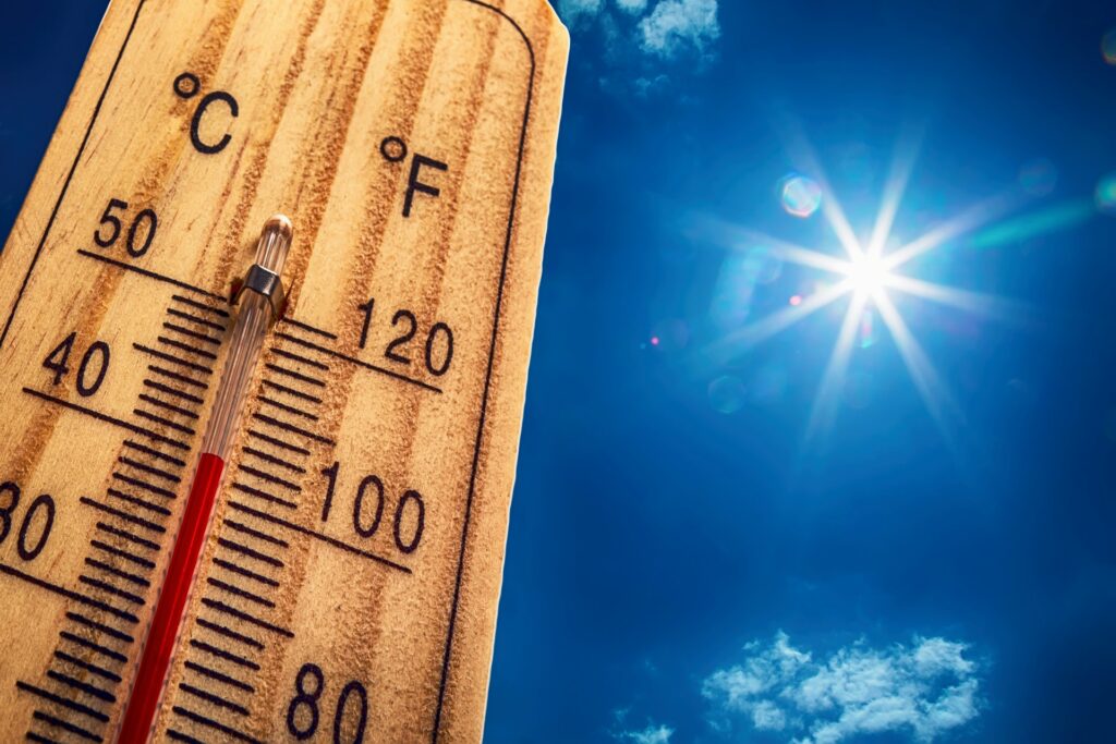 Canicule et fortes chaleurs : quels services à domicile pour aider les seniors et les familles ?